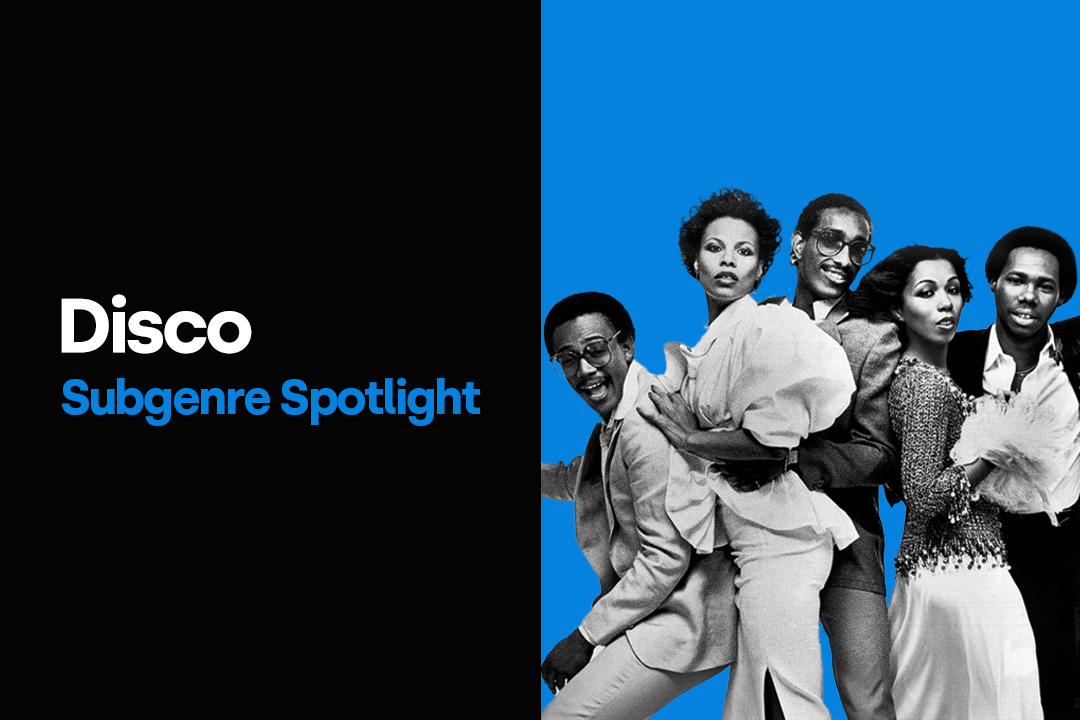 Disco Subgenre Spotlight Tracks For DJs 